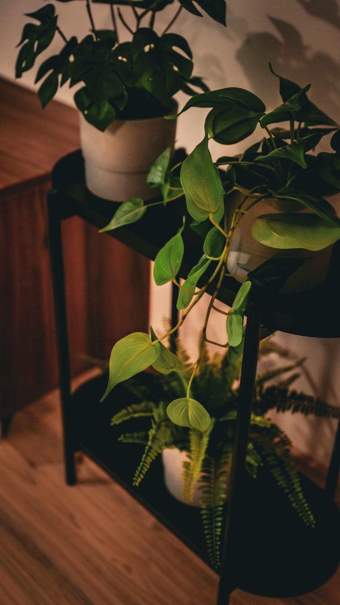 Apartmán Chopok Juh Relax&Enjoy Tále Exteriér fotografie